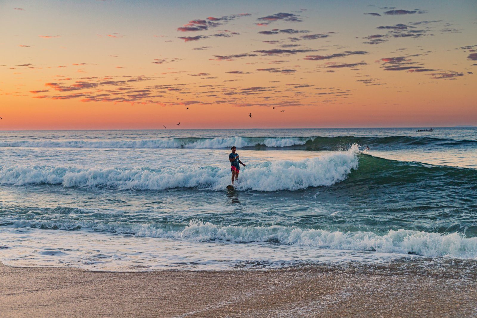 Sunset Getaway & Bioluminescence Plankton 3