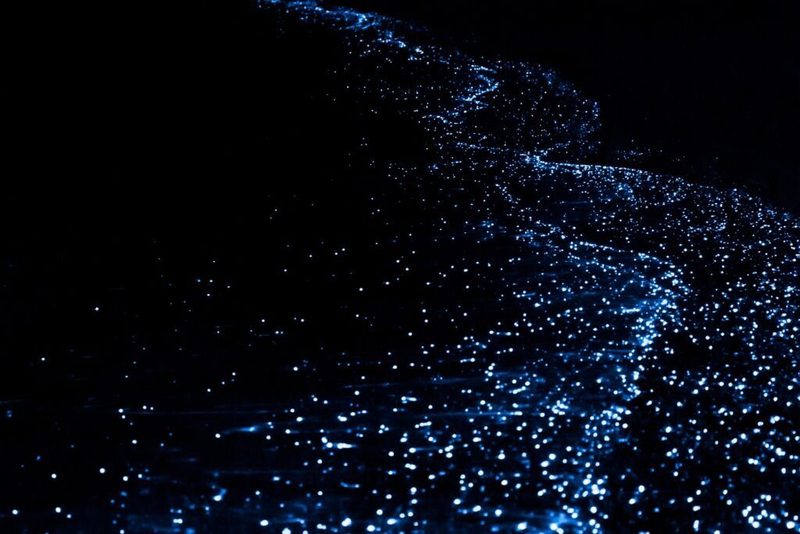 Escapada al atardecer y plancton bioluminiscente — tour privado en barco desde Puerto Vallarta 6