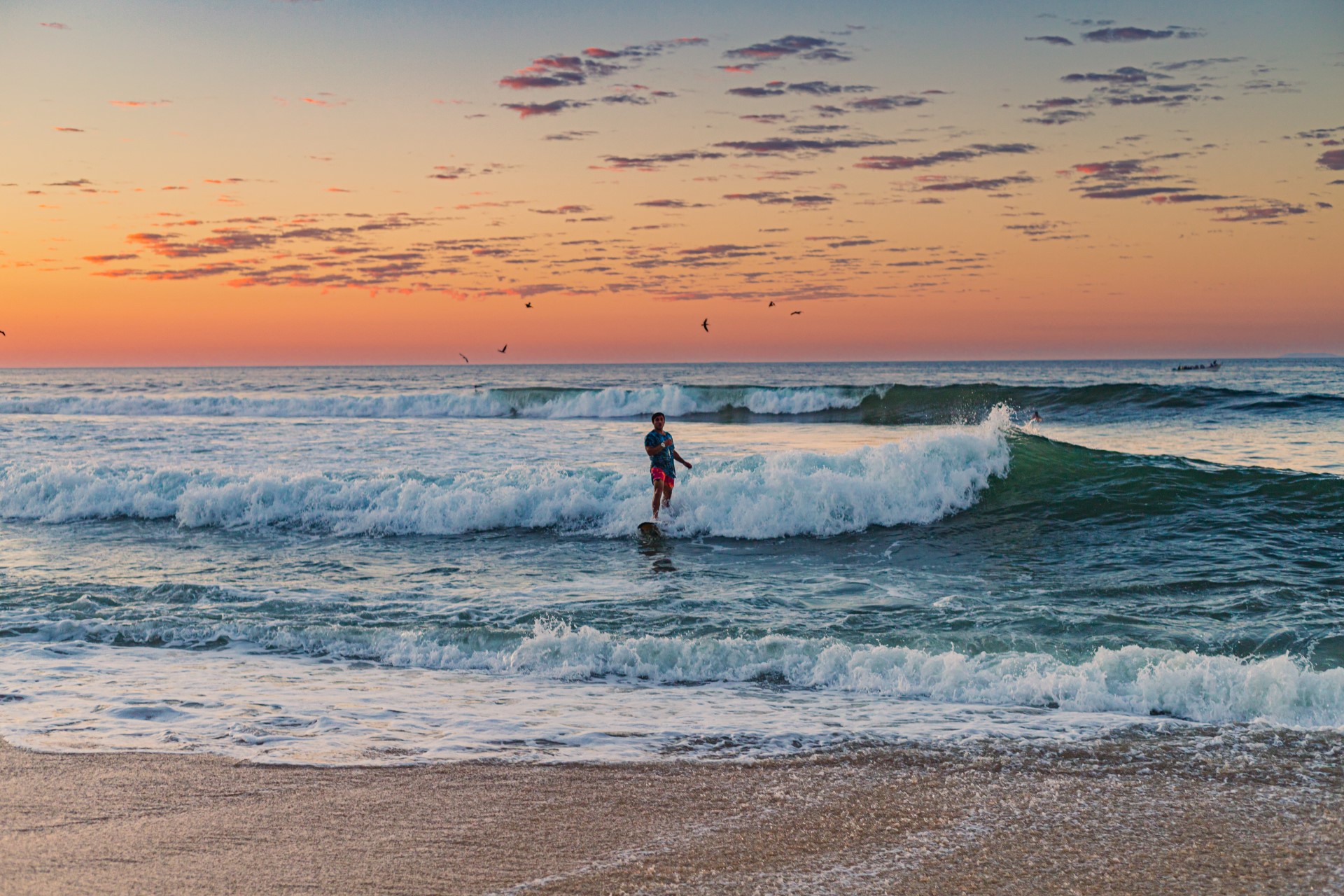 Sunset Getaway & Bioluminescence Plankton